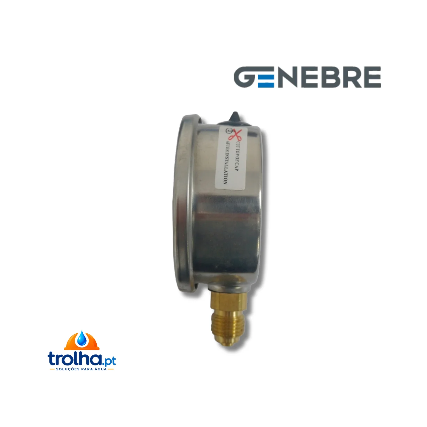 MANÓMETROS Ø 63 MM 1/4" C/ GLICERINA GENEBRE