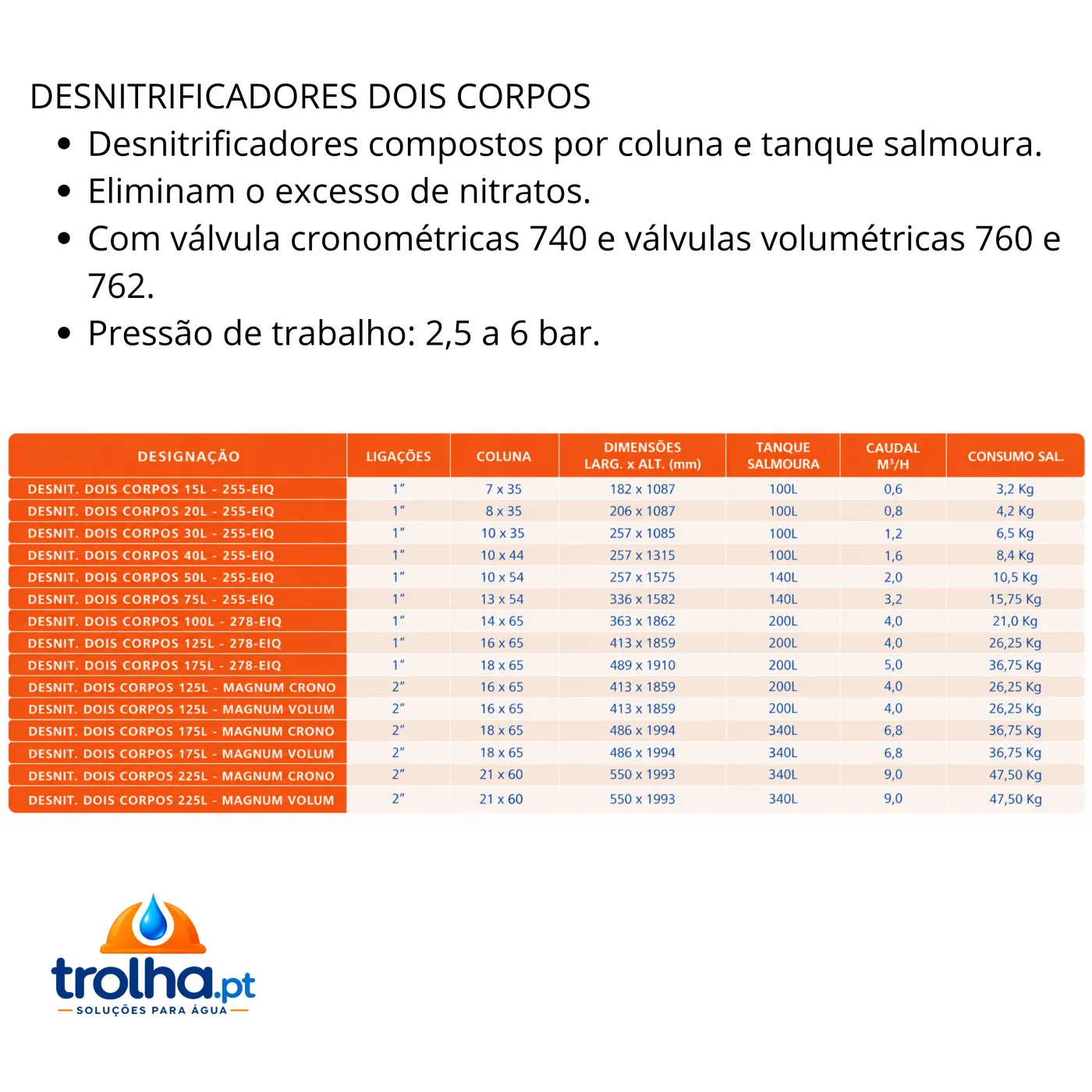 DESNITRIFICADORES DOIS CORPOS - 0,6 a 9m3/h